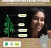 ARTE FIORI Bio Hanföl Gesicht kaltgepresst Vitamin E Produktbild-Vorschau 3