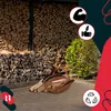 A woven basket filled with firewood is placed on a paved surface in front of a large stack of firewood. There are also decorative icons on the right side of the image. Náhľad obrázku produktu