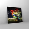Bilder auf glas - Papagei Vogel Feder - 60x60cm - Produktbild-Vorschau 4