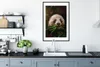 MuchoWow® MuchoWow® Gerahmtes Poster Panda - Schmetterling Produktbild-Vorschau 4