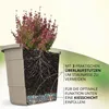 Plastard Blumentopf Ø 54 cm mit Untersetzer rund – Produktbild-Vorschau 4