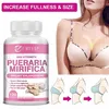 Pueraria Mirifica 1000mg (120 Kapseln) Produktbild-Vorschau 4