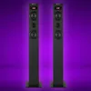 Torre audio Bluetooth NGS SKY CHARM 2.1/ 80W/ 2.1 Anteprima dell’immagine prodotto 12