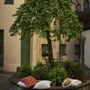 An outdoor courtyard with a tree decorated with string lights, surrounded by greenery and seating. Podgląd zdjęcia produktu
