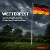 ONBEST Fahnenmast | mit Bodenhülse und Karabiner | 6,2 m | Produktbild-Vorschau 9