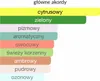 A bar chart showing different fragrance notes with corresponding colors. Náhled obrázku produktu