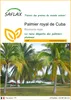 SAFLAX  - Palmier royal de Cuba - 8 graines - Roystonia Voir les images du produit 1