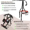 Esposita Einspännergeschirr "Professional" Schwarz-Rot Gr. Produktbild-Vorschau 4
