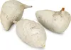 Baobab Frucht grau ca. 9-12cm | Adansonia digitata Produktbild-Vorschau 2