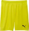Puma Teamgoal Shorts Kinder - Neongelb / Schwarz Produktbild-Vorschau 1