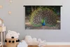 MuchoWow® Wandteppich Wandbehang Pfau - Wild - Wald 120x80 Produktbild-Vorschau 3