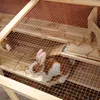 Kleintierkäfig Nagerkäfig Hamsterkäfig Mäusekäfig Villa Produktbild-Vorschau 7