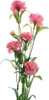 DPI Nelkenzweig Rosa 70 cm - Kunstblumen Produktbild-Vorschau 1