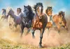Puzzle TREFL Cavalli al galoppo 2000 pezzi Anteprima dell’immagine prodotto 3