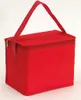 Printwear  | Kühltasche Celsius | 20,5 x 13,5 x 17 cm - Produktbild-Vorschau 2
