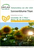 SAFLAX  - Tournesol Titan - 20 graines - Helianthus Voir les images du produit 5
