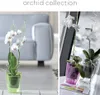 Květináč na orchidej COUBI ORCHID 13 cm - barva: Anteprima dell’immagine prodotto 3