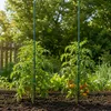 KADAX Blumenstütze aus Stahl "Kluk", Pflanzen-Rankstab, Produktbild-Vorschau 4