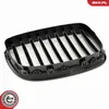 ESEN SKV 66SKV177 Kühlergrill Frontgrill für BMW 5 GT (F07) Produktbild-Vorschau 6