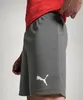 PUMA Herren Teamrise Strick-Shorts, Smoked Pearl-puma Produktbild-Vorschau 5