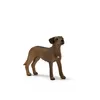 schleich FARM WORLD 13895, 3 rok/roky, Dogs, Farm animals / Náhled obrázku produktu 6