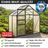 BRAST Gewächshaus Aluminium mit Fundament | 130x190x195cm Produktbild-Vorschau 8
