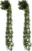 Lot de 2 plantes artificielles suspendues Relaxdays, Voir les images du produit 1