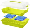 Rotho Tortenglocke COOL & FRESH - Tortenbehälter 43,5 x Produktbild-Vorschau 2
