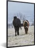 MuchoWow® Gerahmtes Poster Pferde - Schnee - Weiß 60x90 cm Produktbild-Vorschau 1