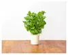 EMSA Click & Grow Peppermint Anteprima dell’immagine prodotto 6