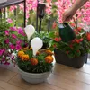 A hand is watering plants on a balcony with a green watering can. The plants are in pots and include marigolds and begonias. There are also solar lights and pink flowers hanging in the background. Anteprima dell’immagine prodotto