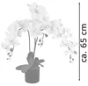 Künstliche Blumen Orchidee Orchideen Pflanzen Kunstpflanze Produktbild-Vorschau 6