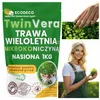 EcoDeco - Semences de trèfle nain pour gazon - Mélange de Voir les images du produit 16