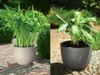 KADAX Blumentopf "Rafat", runder Übertopf, Pflanztopf aus Produktbild-Vorschau 16