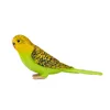 Mojo Fun Budgerigar Green, 3 lat(a), FARMLAND, Zielony, Podgląd zdjęcia produktu 3
