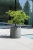VIVANNO Pot de fleurs en fibre de verre VEKRA Rond, gris Voir les images du produit 2