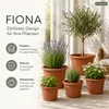 Pflanztopf Fiona Terrakotta Ø 20cm - Frostsicher & Produktbild-Vorschau 7