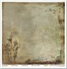 Scrapbooking-Papier Set 30×30 cm – SLS-049 Herbarium 2 – Produktbild-Vorschau 5