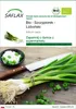 SAFLAX - Bio - Szczypiorek - Lizboński - 150 Nasiona - Podgląd zdjęcia produktu 1