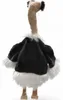 Marionnette Oiseau Autruche env. 40cm de haut, env. 30cm Voir les images du produit 5