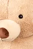A close-up of a teddy bear's face, focusing on its eye and nose. Produktbild-Vorschau