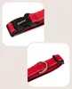 lionto Hundehalsband, Nylon, Größe XL, gepolstert, Produktbild-Vorschau 6