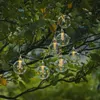 LED Lichterkette CHANIA - Solar - 8 warmweiße LED - L: 245cm - Lichtsensor - Outdoor - klar Produktbild-Vorschau