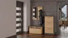 Hallway with modern furniture Podgląd zdjęcia produktu