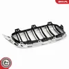 ESEN SKV 66SKV152 Griglia anteriore per BMW 4 Gran Coupé Anteprima dell’immagine prodotto 15