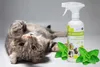ISOKOR | Anti Urine Cleaner | Geruchs & Fleckenentferner | Produktbild-Vorschau 3