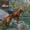 DogsCreek savety – Tierbedarf – vest Saphir M Produktbild-Vorschau 5