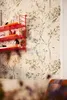 A red shelf with items on it, against a wall with floral wallpaper. Produktbild-Vorschau