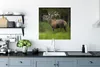MuchoWow® Poster Elch - Wald - Porträt 75x75 cm - Wand Produktbild-Vorschau 3