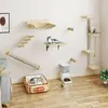 BALCONERA Kletterwand Katzen 7Pcs Set, Katzen-Wandmöbel aus Produktbild-Vorschau 2